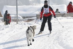 Lenk 2012 SM